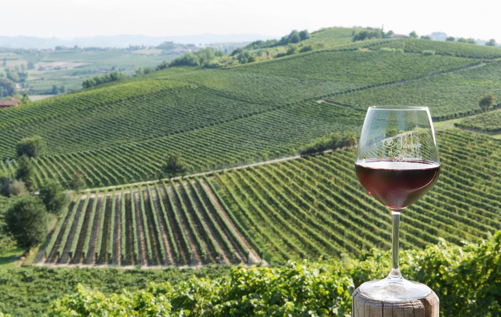 Agriturismo Albarossa Ница Монферато Екстериор снимка