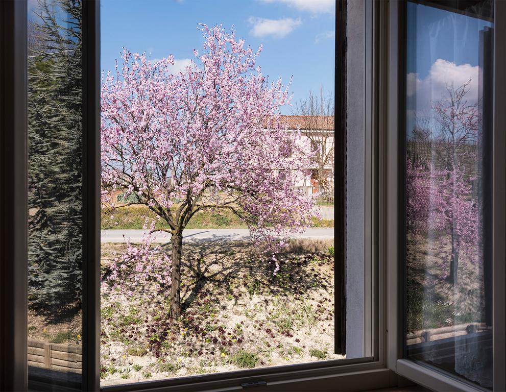 Agriturismo Albarossa Ница Монферато Екстериор снимка