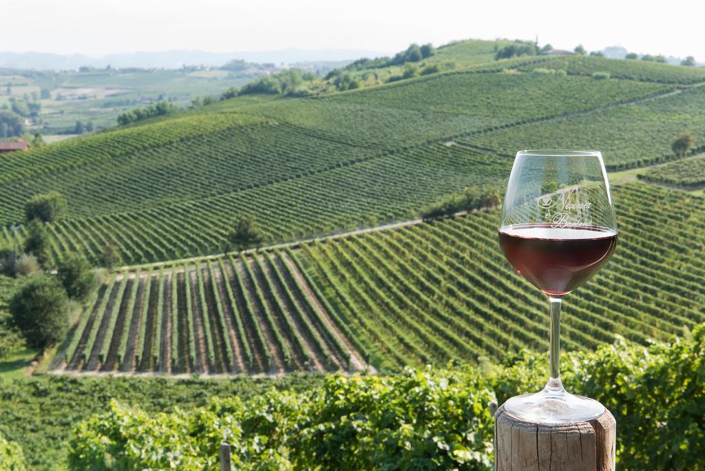 Agriturismo Albarossa Ница Монферато Екстериор снимка