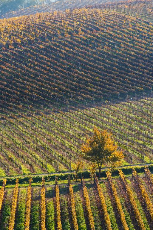 Agriturismo Albarossa Ница Монферато Екстериор снимка