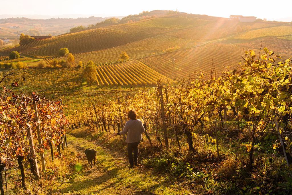 Agriturismo Albarossa Ница Монферато Екстериор снимка