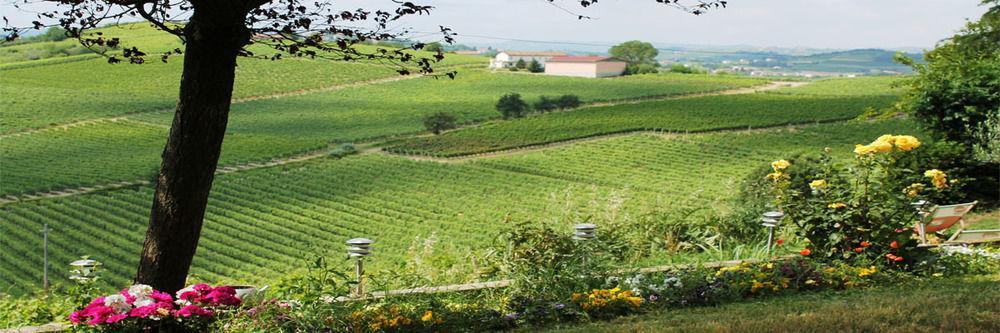 Agriturismo Albarossa Ница Монферато Екстериор снимка