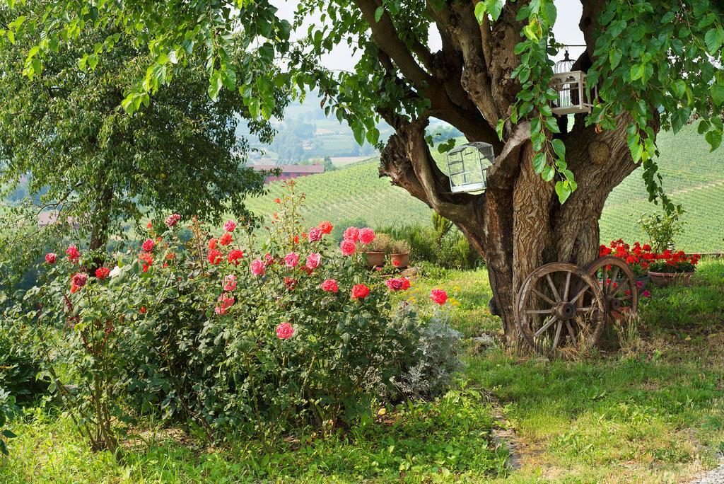 Agriturismo Albarossa Ница Монферато Екстериор снимка